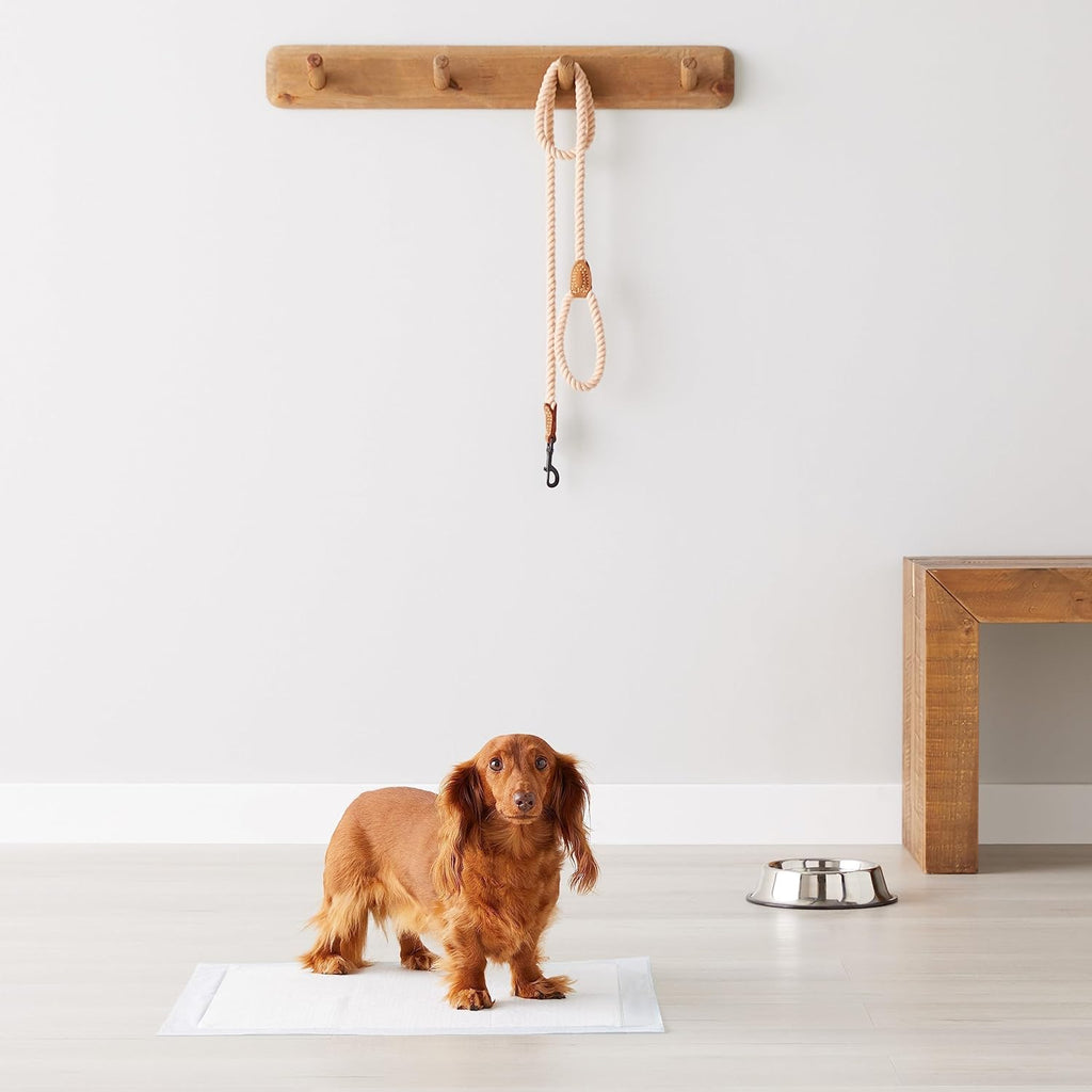Puppy Potty Training Pads
